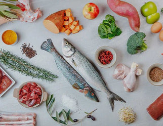 Why Novel Proteins Are The Key To Dog Nutrition