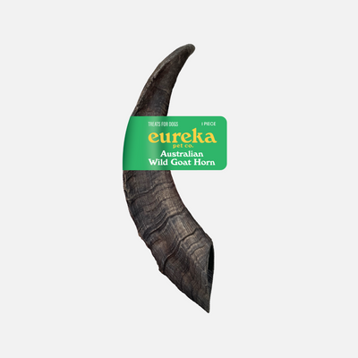 Groovy Goat Horn