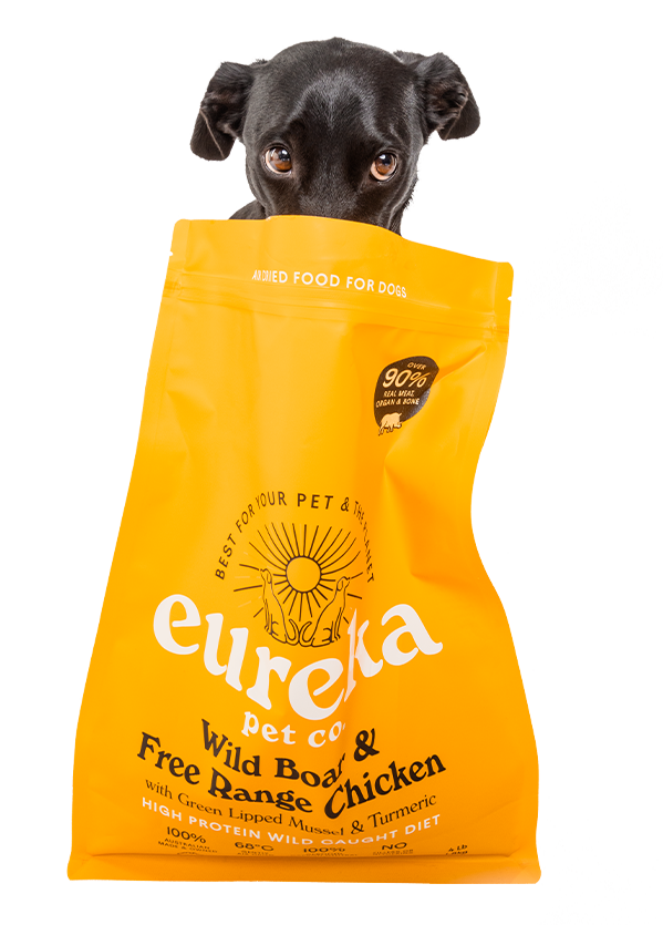 Black dog peeking out from a Eureka Pet Co. bag of Wild Boar & Free Range Chicken dog food