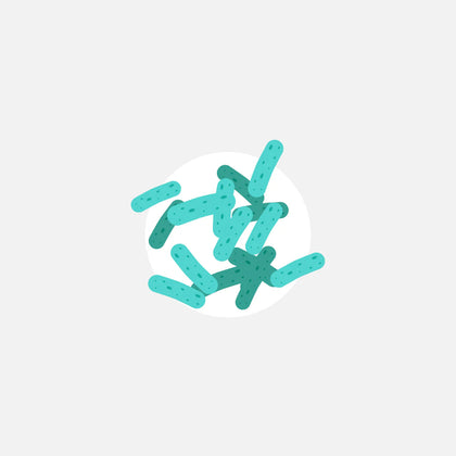 Probiotics (6bn per treat)